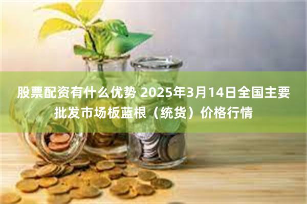 股票配资有什么优势 2025年3月14日全国主要批发市场板蓝根（统货）价格行情