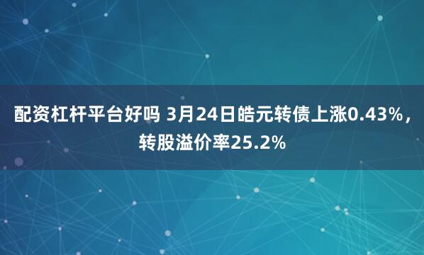 配资杠杆平台好吗 3月24日皓元转债上涨0.43%，转股溢价率25.2%