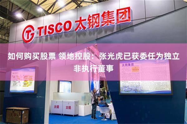 如何购买股票 领地控股：张光虎已获委任为独立非执行董事