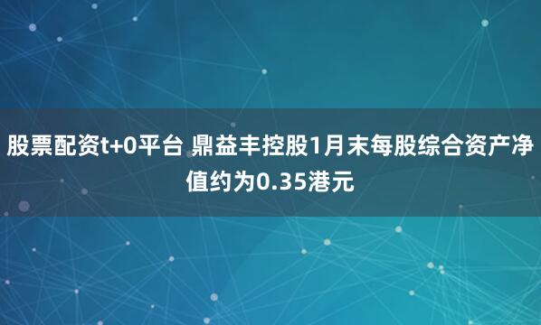 股票配资t+0平台 鼎益丰控股1月末每股综合资产净值约为0.35港元