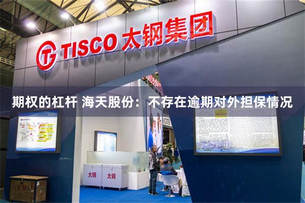 期权的杠杆 海天股份：不存在逾期对外担保情况