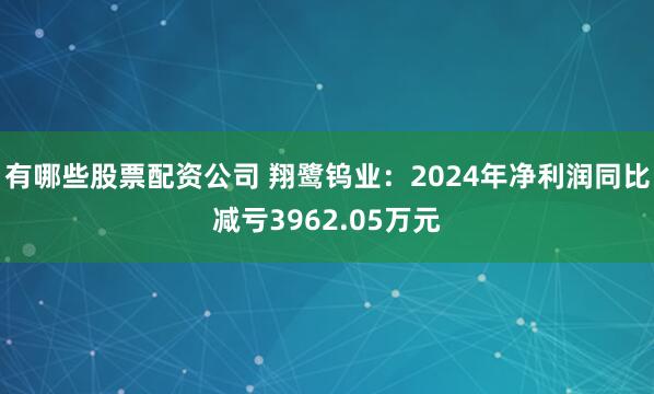 有哪些股票配资公司 翔鹭钨业：2024年净利润同比减亏3962.05万元