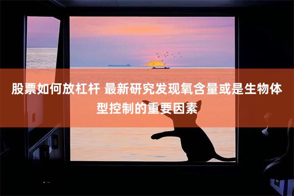 股票如何放杠杆 最新研究发现氧含量或是生物体型控制的重要因素