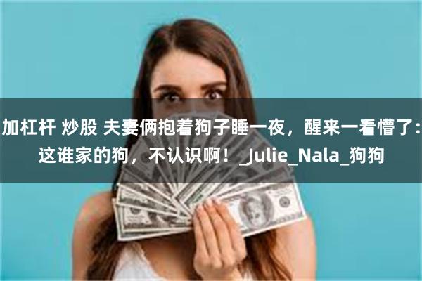 加杠杆 炒股 夫妻俩抱着狗子睡一夜，醒来一看懵了：这谁家的狗，不认识啊！_Julie_Nala_狗狗