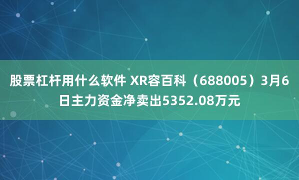 股票杠杆用什么软件 XR容百科（688005）3月6日主力资金净卖出5352.08万元