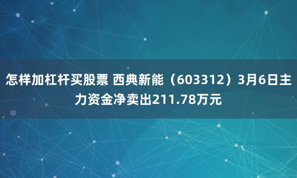 怎样加杠杆买股票 西典新能（603312）3月6日主力资金净卖出211.78万元
