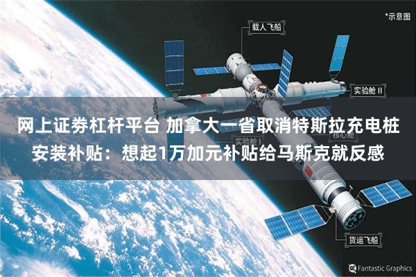 网上证劵杠杆平台 加拿大一省取消特斯拉充电桩安装补贴：想起1万加元补贴给马斯克就反感