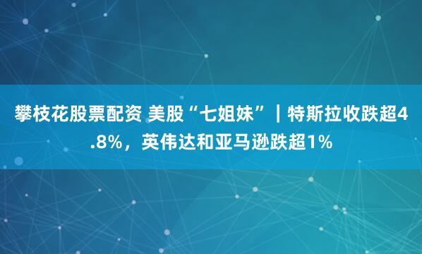 攀枝花股票配资 美股“七姐妹”｜特斯拉收跌超4.8%，英伟达和亚马逊跌超1%