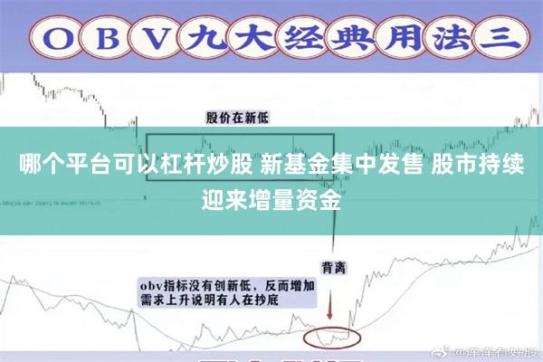 哪个平台可以杠杆炒股 新基金集中发售 股市持续迎来增量资金