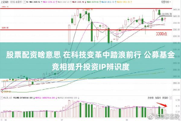 股票配资啥意思 在科技变革中踏浪前行 公募基金竞相提升投资IP辨识度