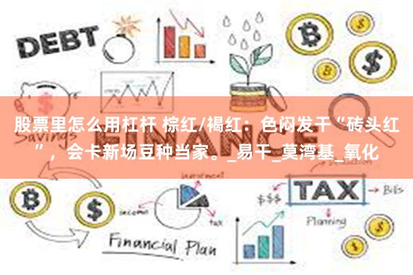 股票里怎么用杠杆 棕红/褐红：色闷发干“砖头红”，会卡新场豆种当家。_易干_莫湾基_氧化