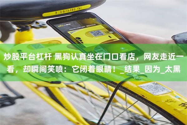 炒股平台杠杆 黑狗认真坐在门口看店，网友走近一看，却瞬间笑喷：它闭着眼睛！_结果_因为_太黑