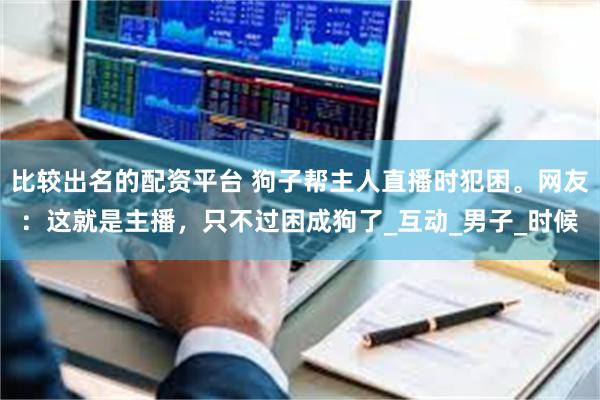 比较出名的配资平台 狗子帮主人直播时犯困。网友：这就是主播，只不过困成狗了_互动_男子_时候