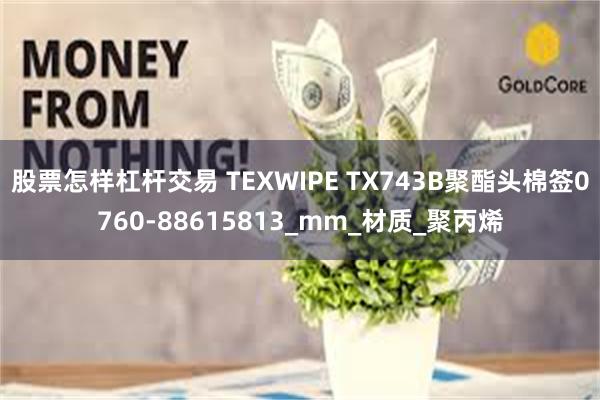 股票怎样杠杆交易 TEXWIPE TX743B聚酯头棉签0760-88615813_mm_材质_聚丙烯