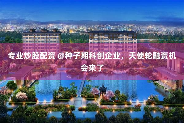 专业炒股配资 @种子期科创企业，天使轮融资机会来了