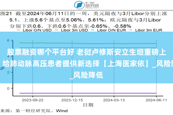 股票融资哪个平台好 老挝卢修斯安立生坦重磅上市，给肺动脉高压患者提供新选择【上海医家依】_风险降低